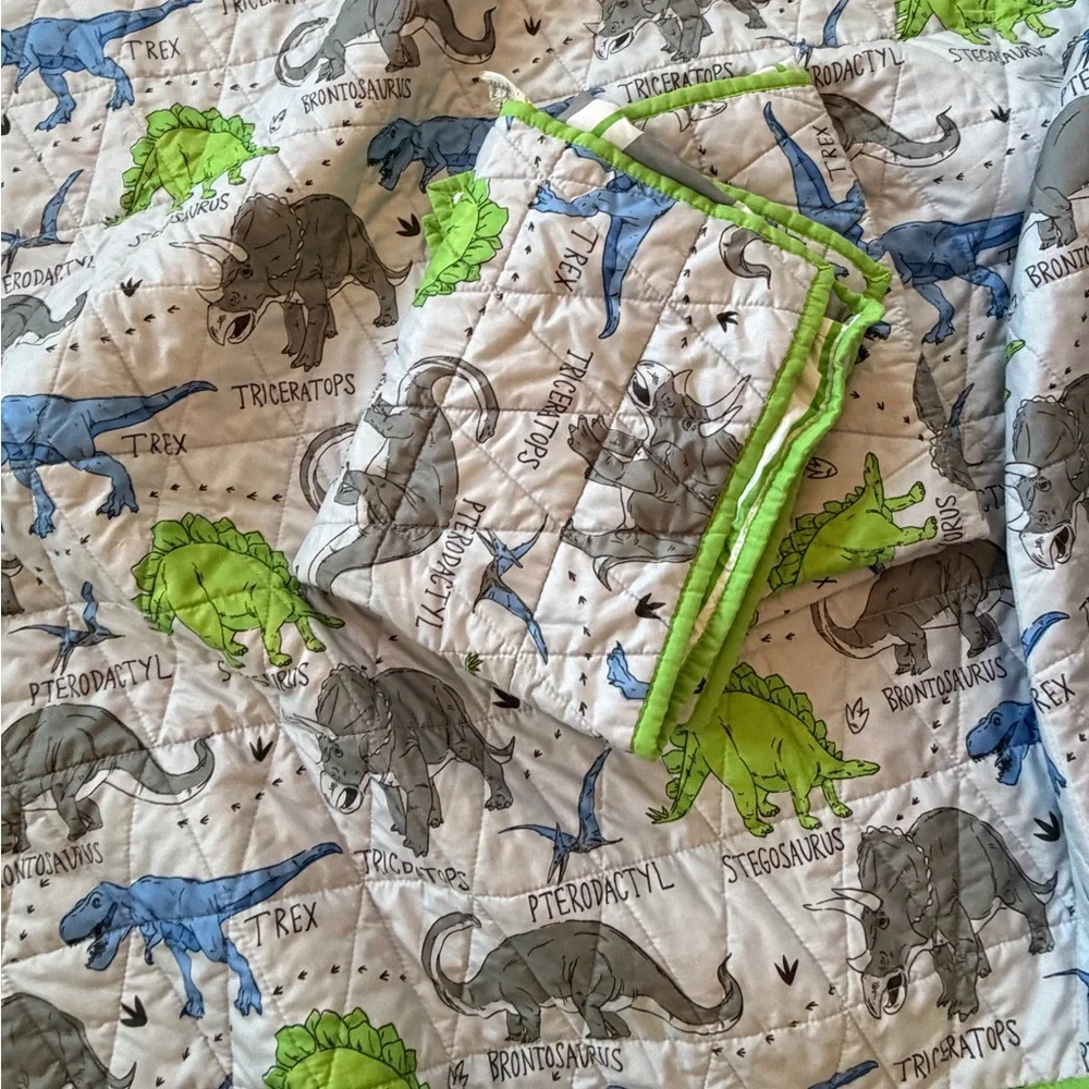 Dinosaur Reversible Full / Queen quilt set